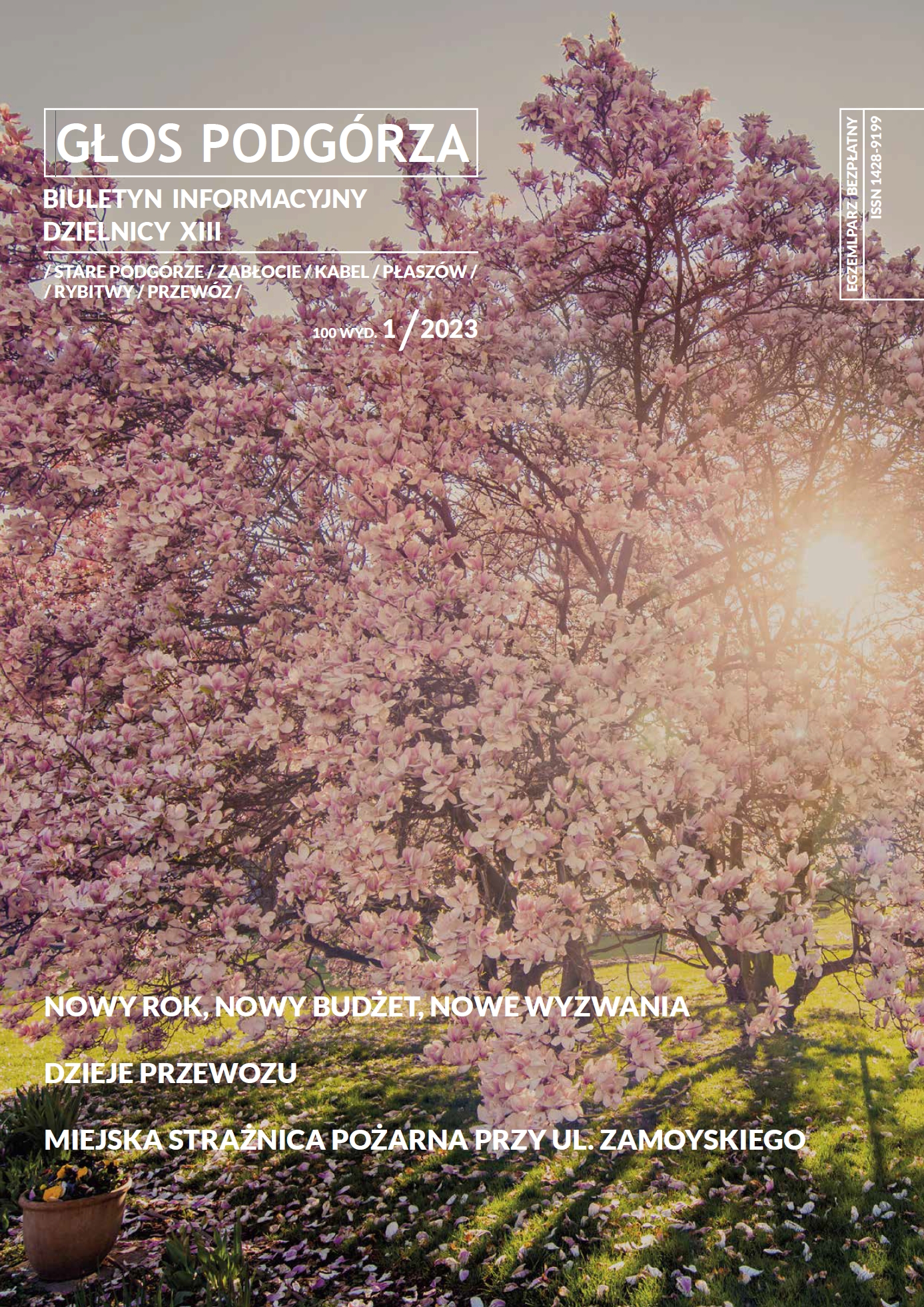 Okładka Informatora - link do pobrania pliku .pdf