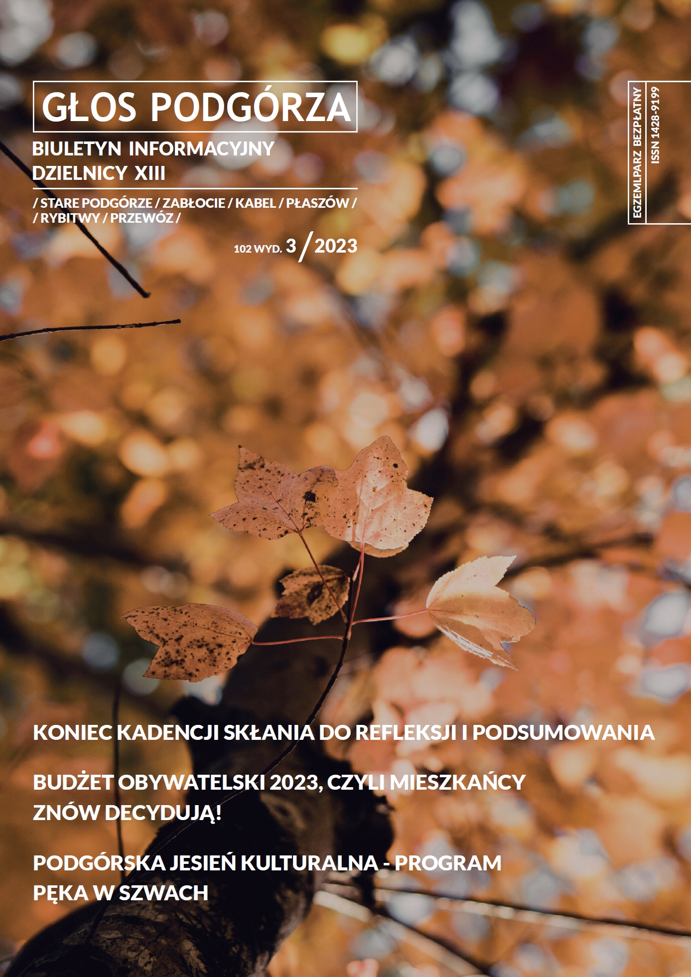 Okładka Informatora - link do pobrania pliku .pdf