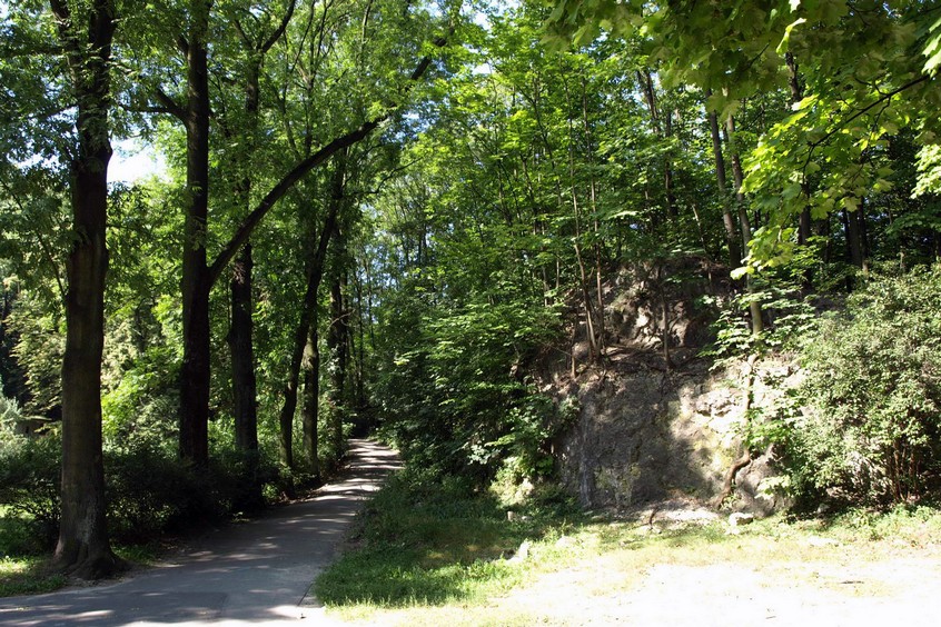 Park im. Wojciecha Bednarskiego