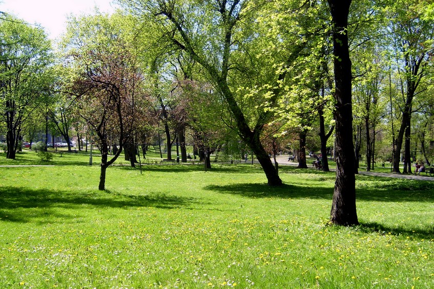 Planty im. Floriana Nowackiego